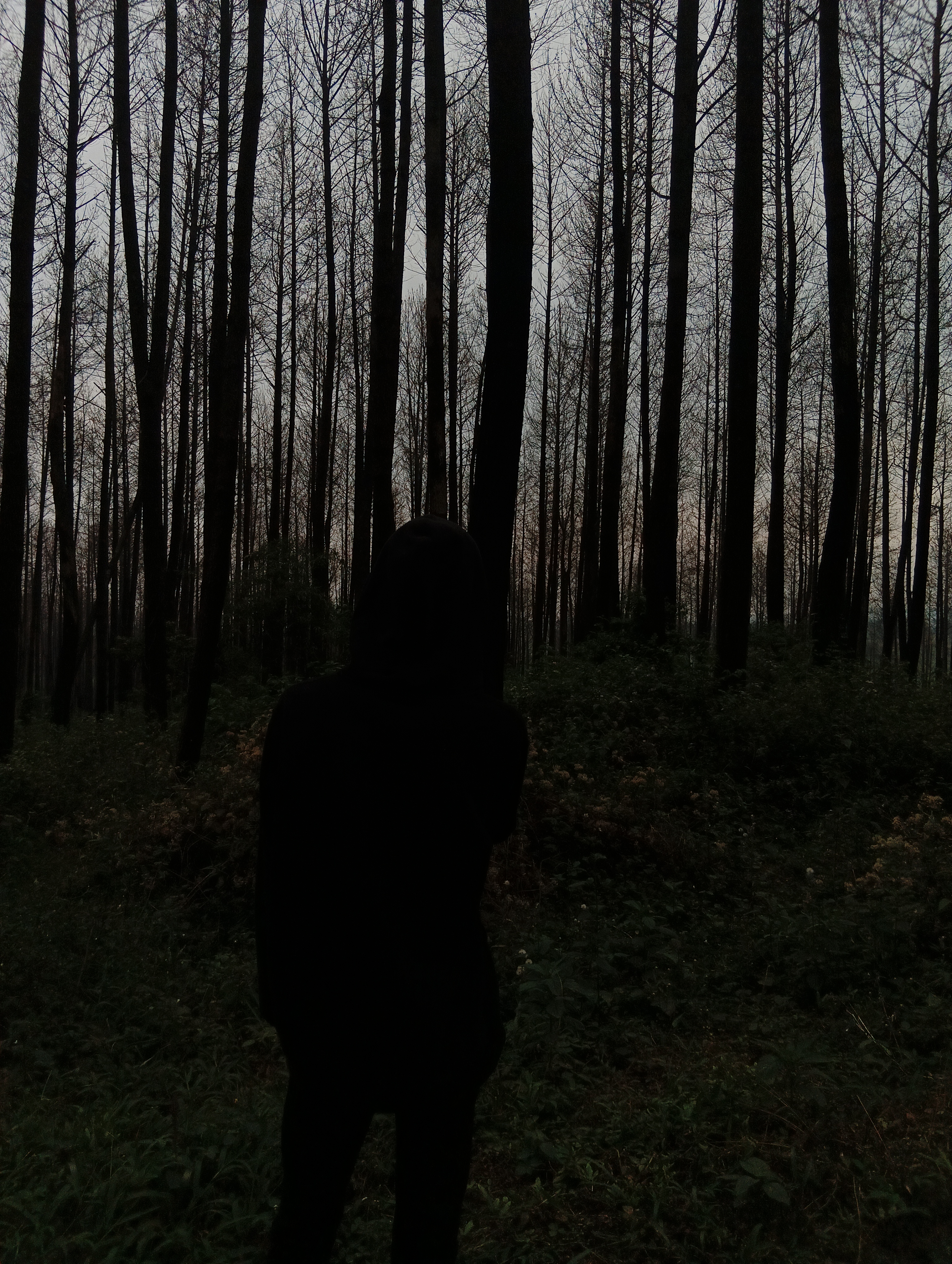 reiza febry fadhillah gusman